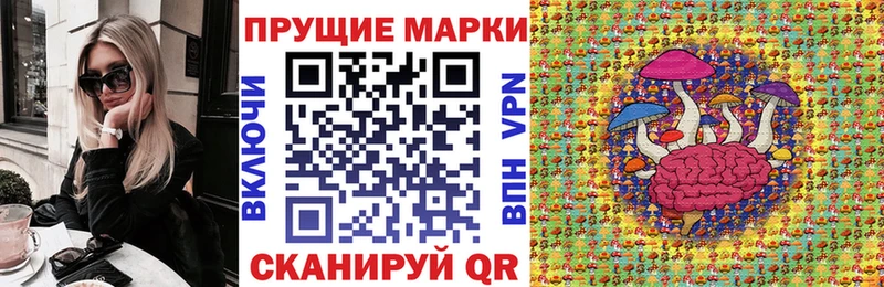 omg рабочий сайт  Тамбов  Марки N-bome 1,8мг 